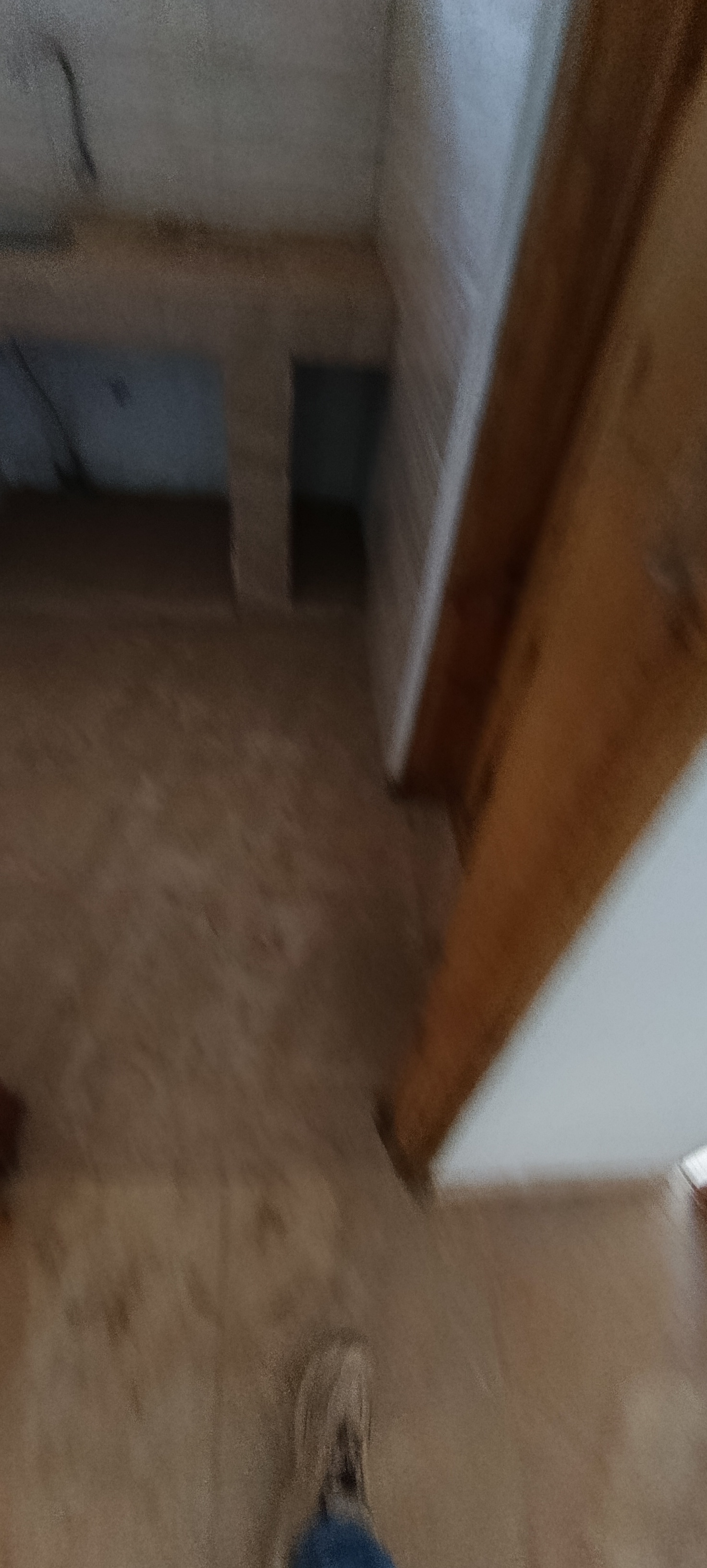 Appartement chambre salon