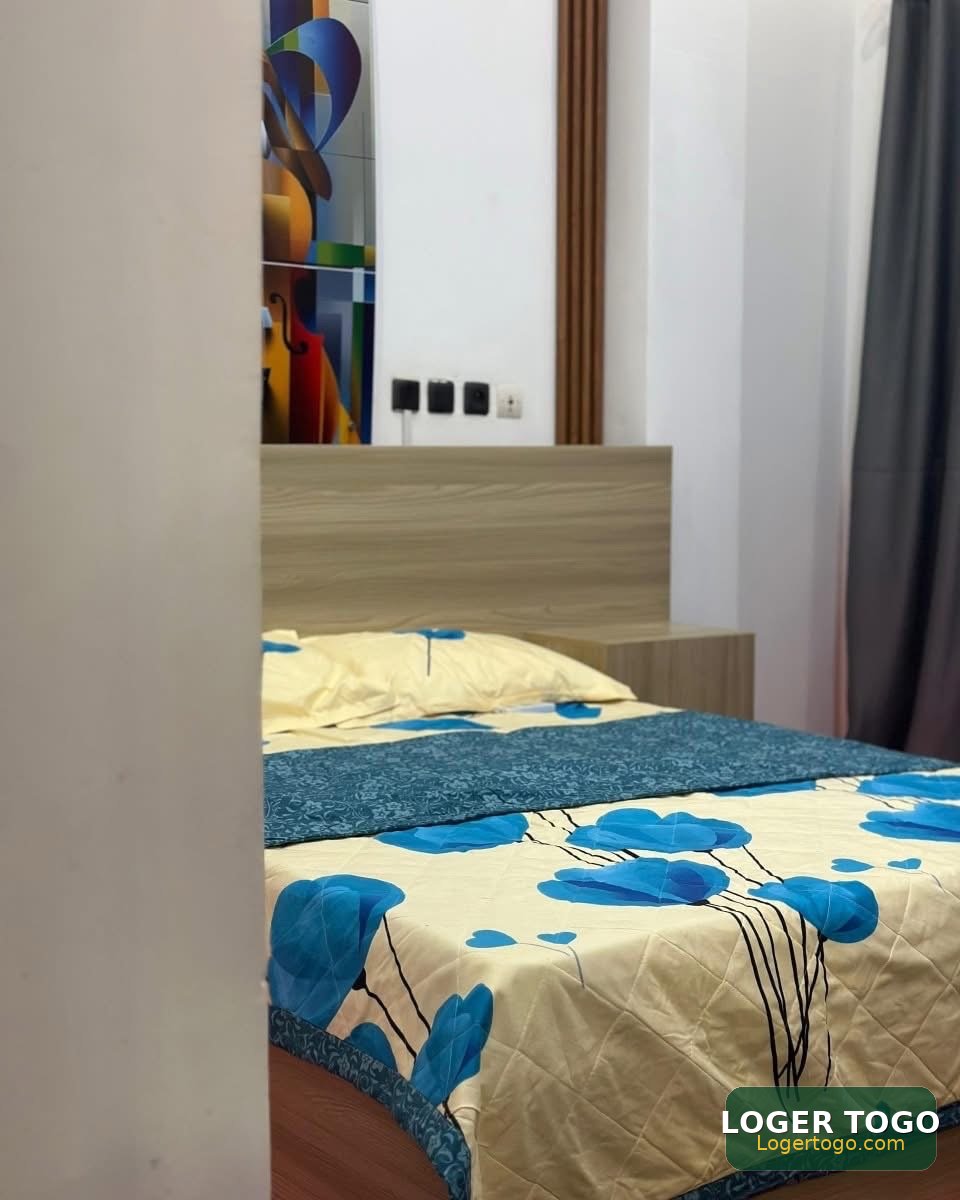 Appartement meublé - Photo 3