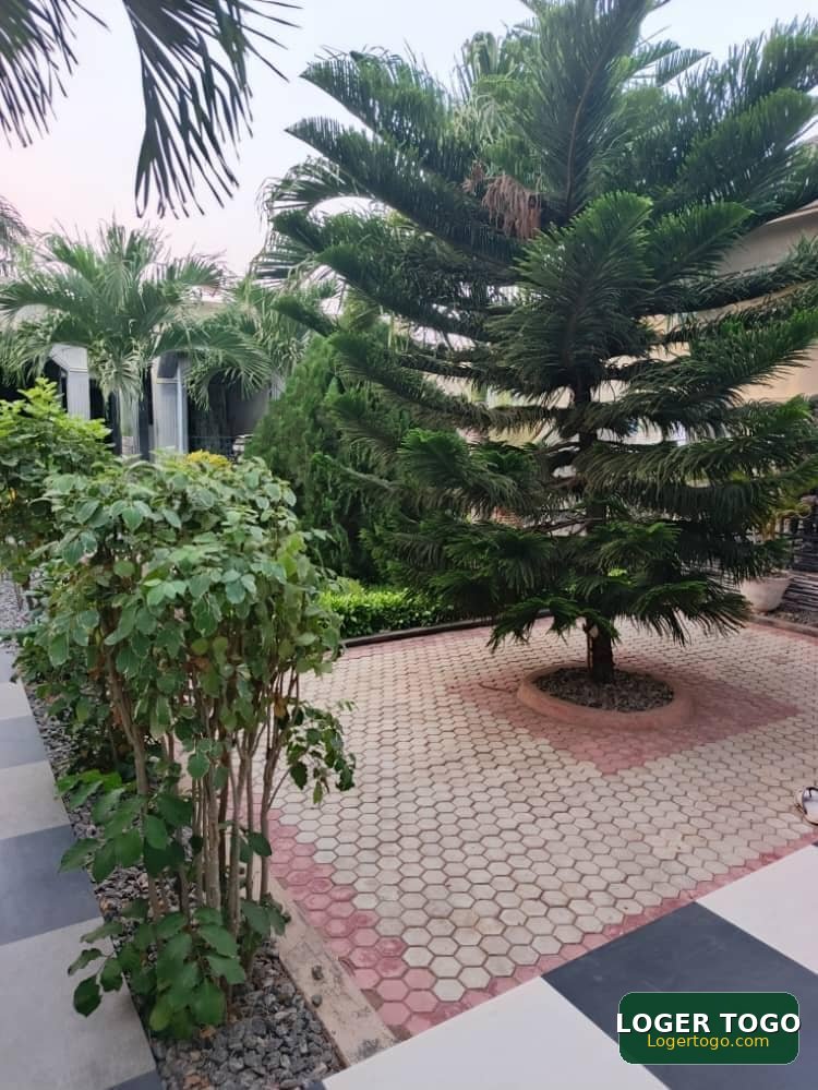 Maison à Vendre à Adidogomé Logoté - Photo 4