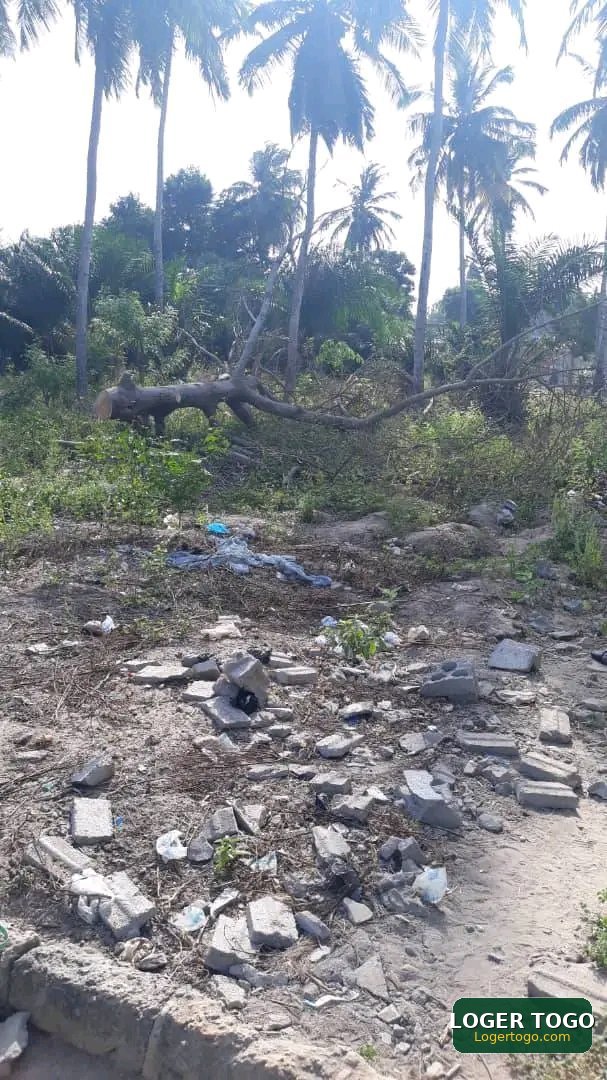 3LOTS et 1/4 À VENDRE À ADIDOGOMÉ YOKOÈ - Photo 1