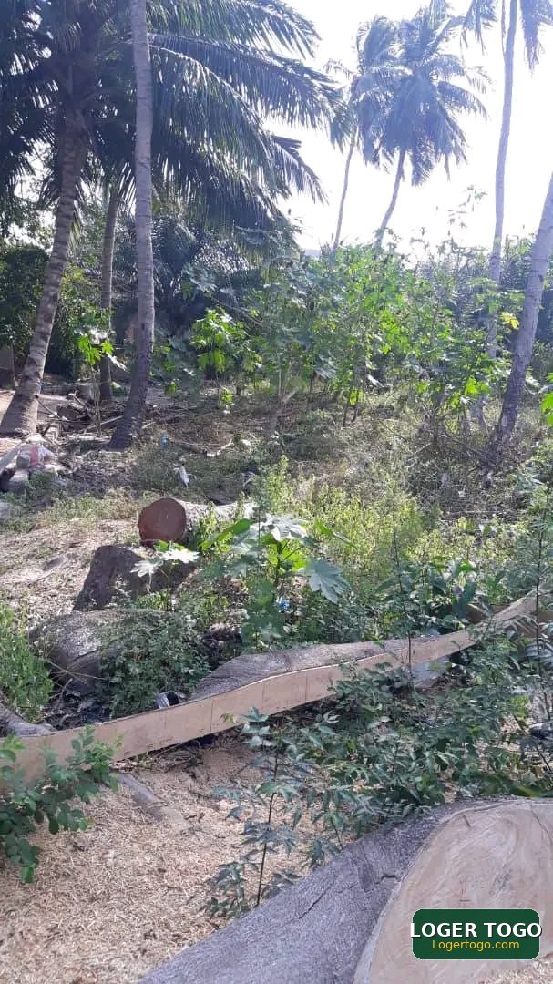 3LOTS et 1/4 À VENDRE À ADIDOGOMÉ YOKOÈ - Photo 2