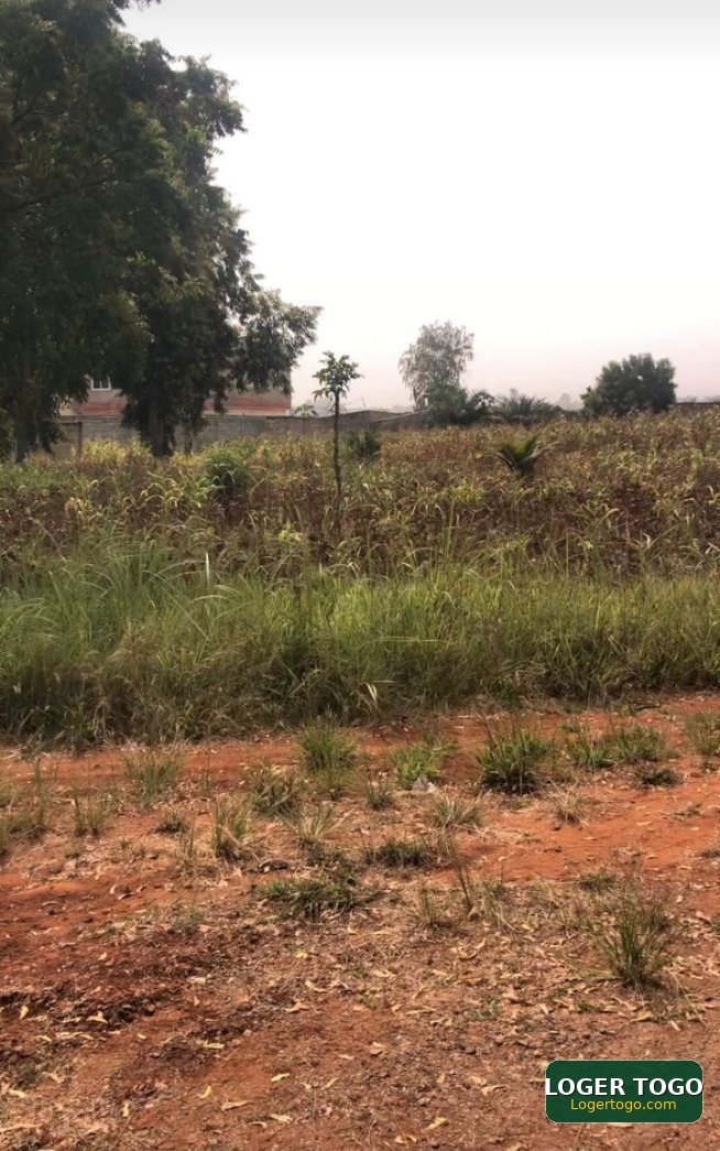 2 lots avec titre foncier à APESSITO