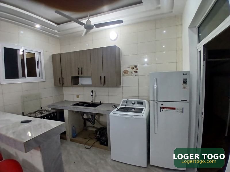 Appartement meublé scindé en cours unique à louer