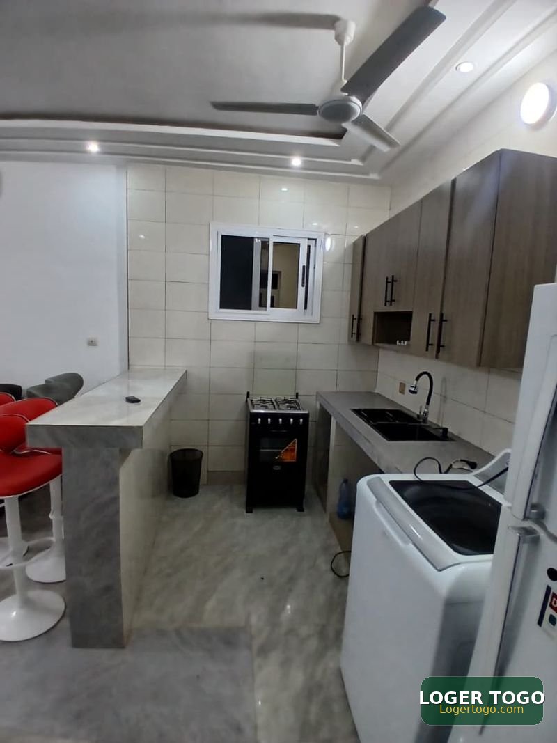 Appartement meublé scindé en cours unique à louer