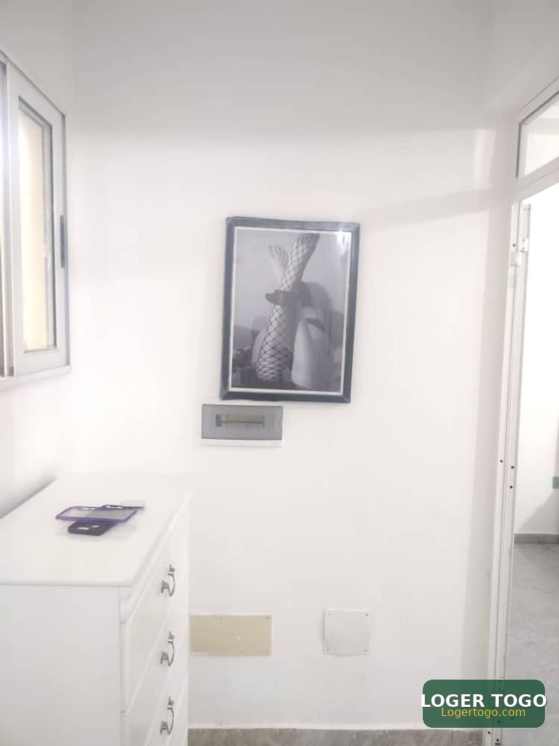 Appartement meublé scindé en cours unique à louer