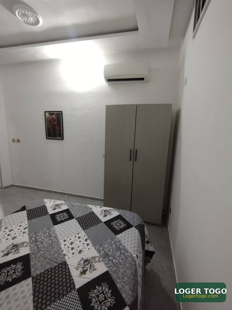 Appartement meublé scindé en cours unique à louer