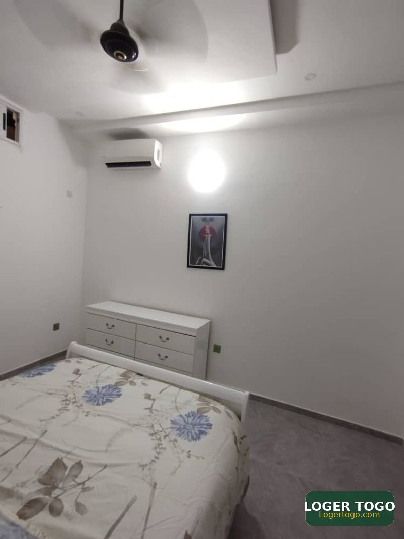 Appartement meublé scindé en cours unique à louer
