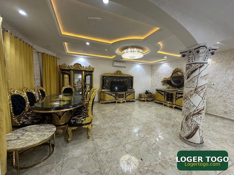 Duplex de prestige meublé sur 2 lots à vendre - Photo 6