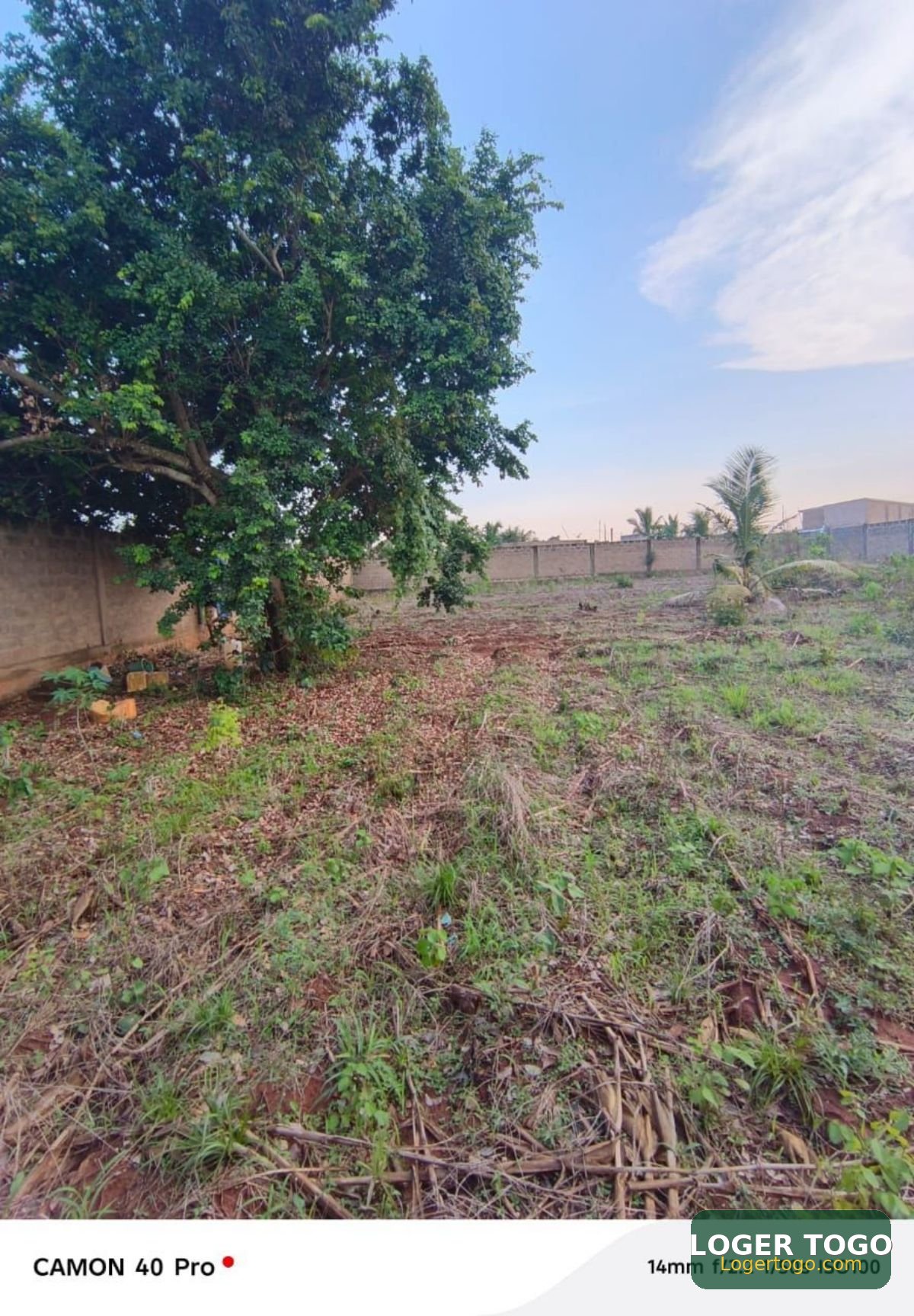 Terrain 2Lots17MApessito T-Oil - Photo 2