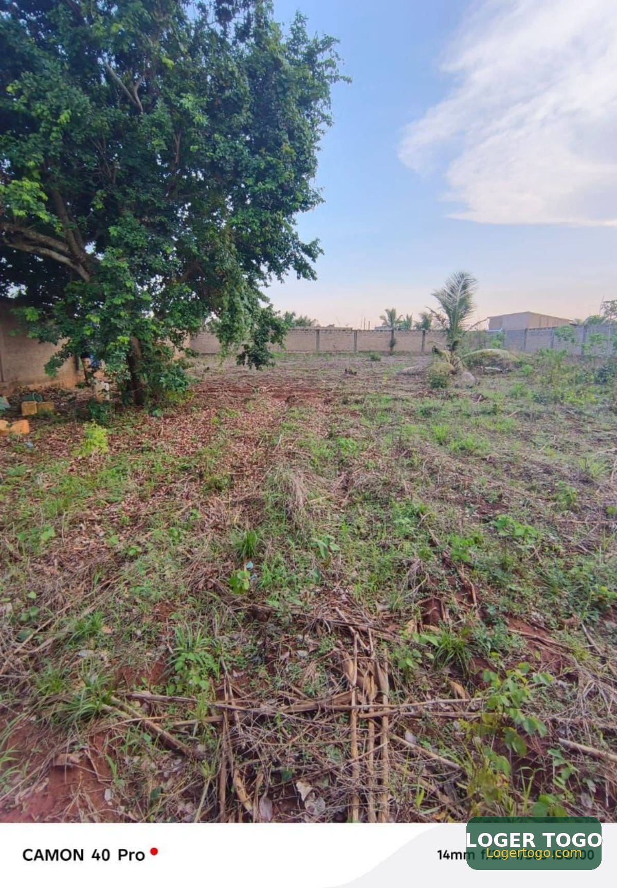 Terrain 2Lots17MApessito T-Oil - Photo 3