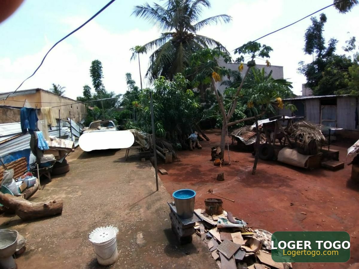Vente de terrain clôturé avec TF à agoè assiyéyé - Photo 2
