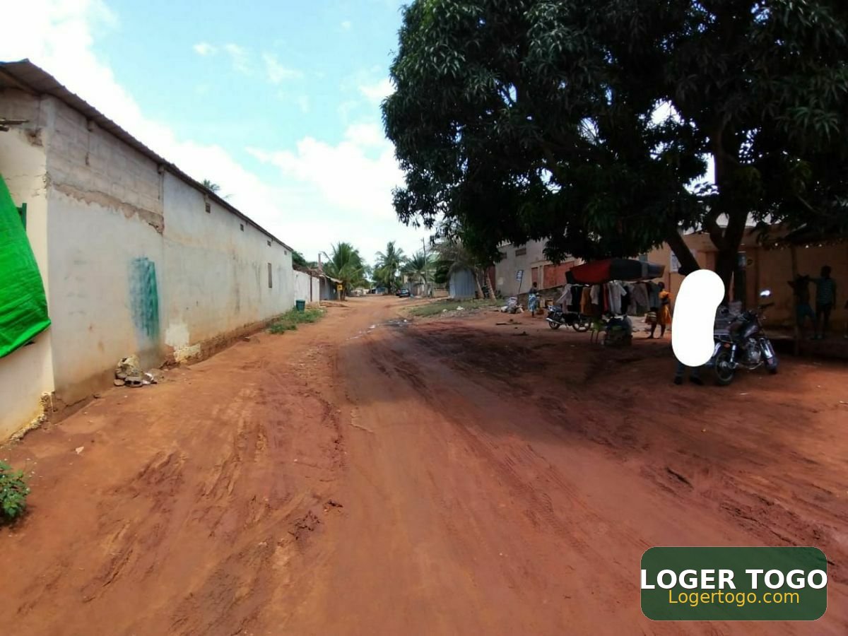 Vente de terrain clôturé avec TF à agoè assiyéyé - Photo 3