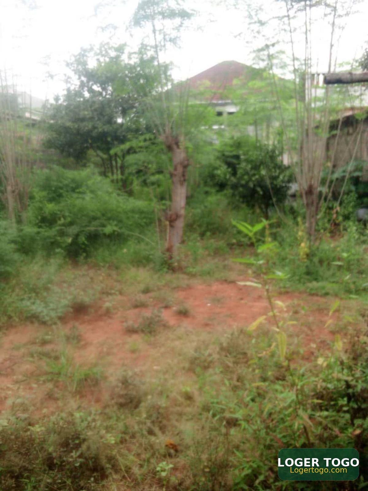 Terrain 1/2 lots Agoe koffi panou 100 m goudron - Photo 3