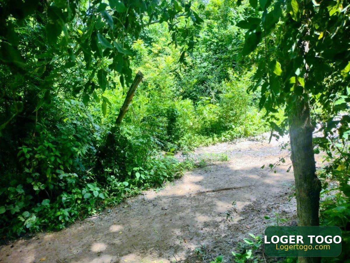 Terrain agricole - Photo 1