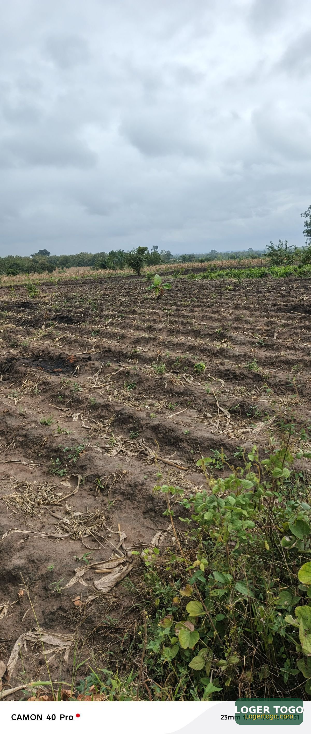 200 Hectares à Vendre à Kati