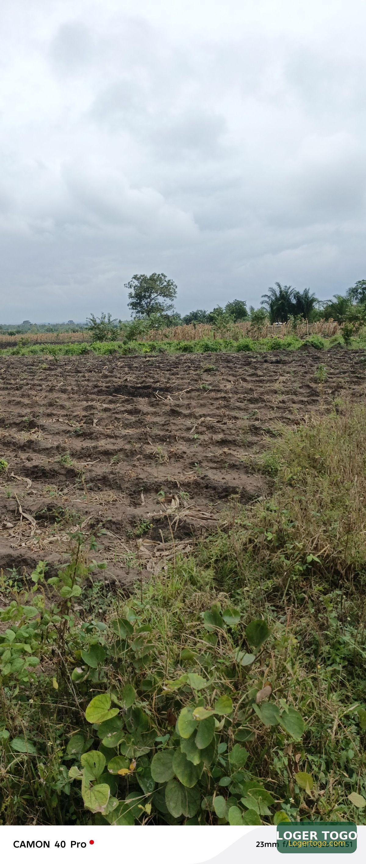 200 Hectares à Vendre à Kati
