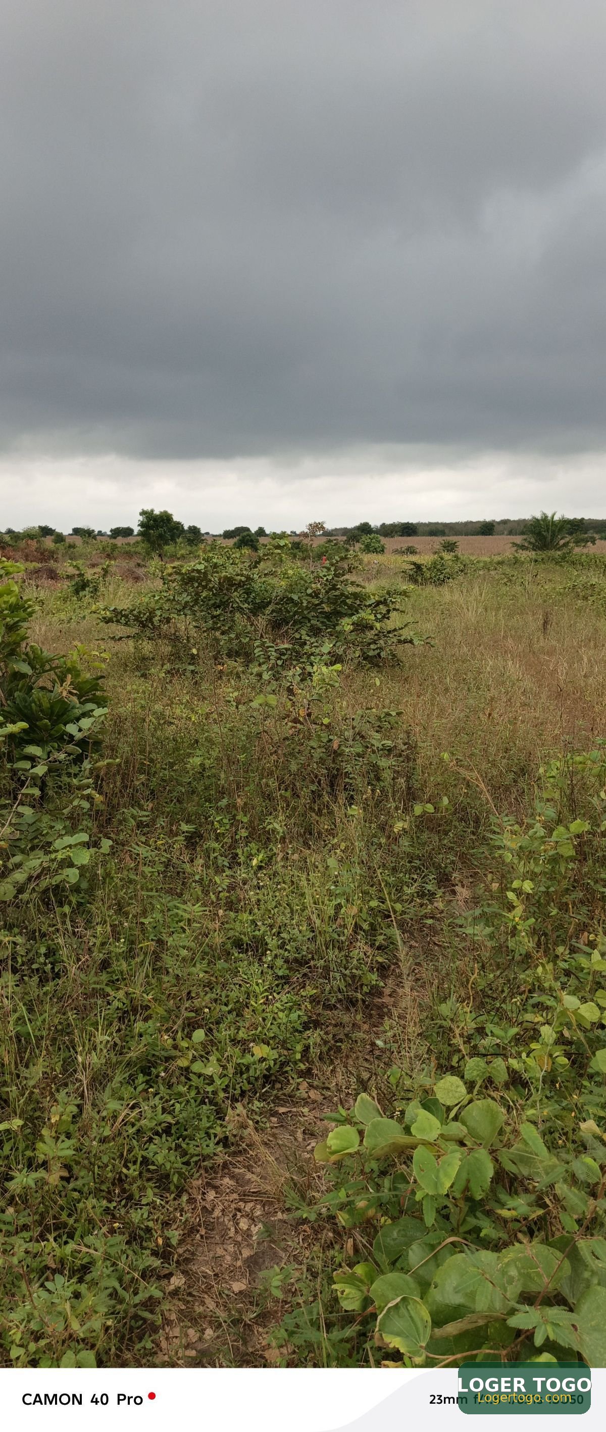 200 Hectares à Vendre à Kati
