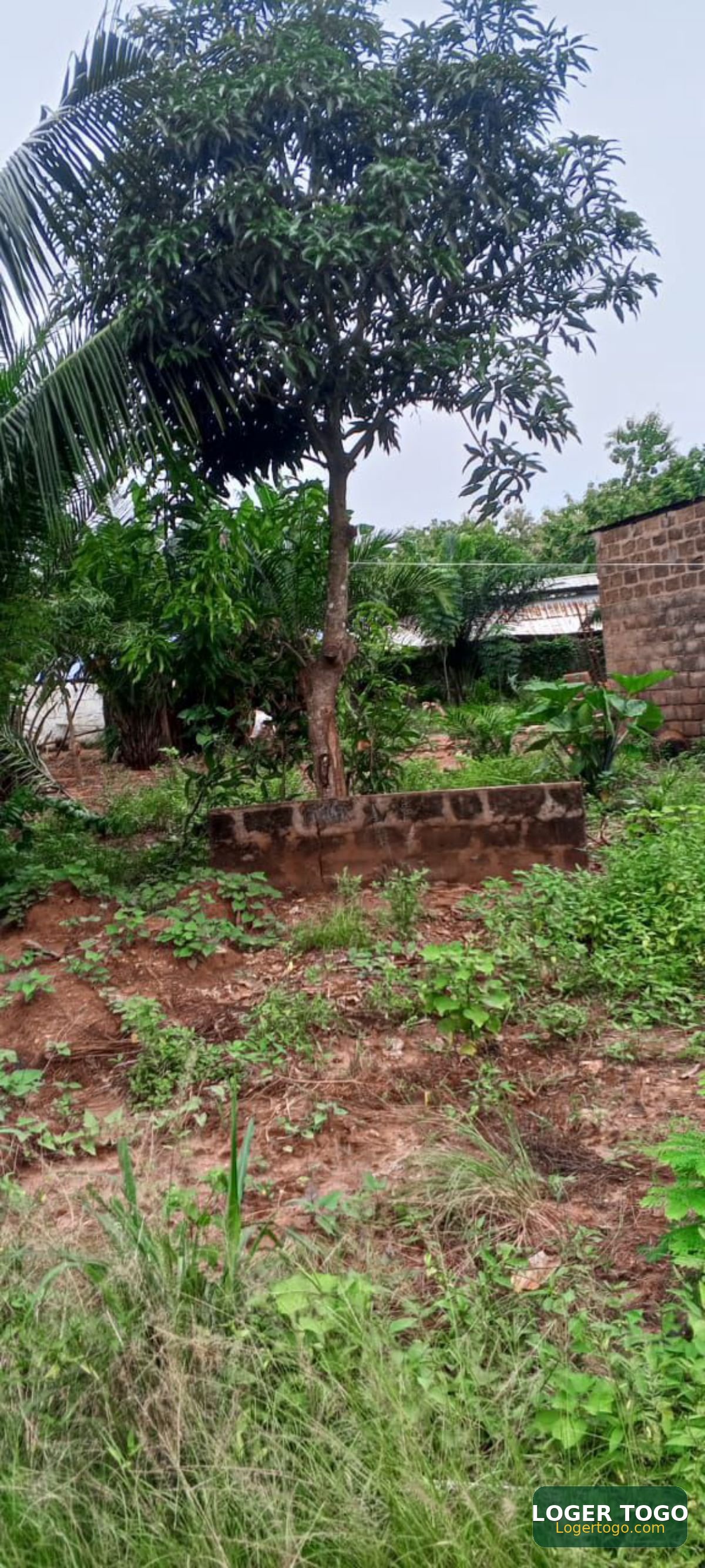 Terrain a vendre - Photo 3