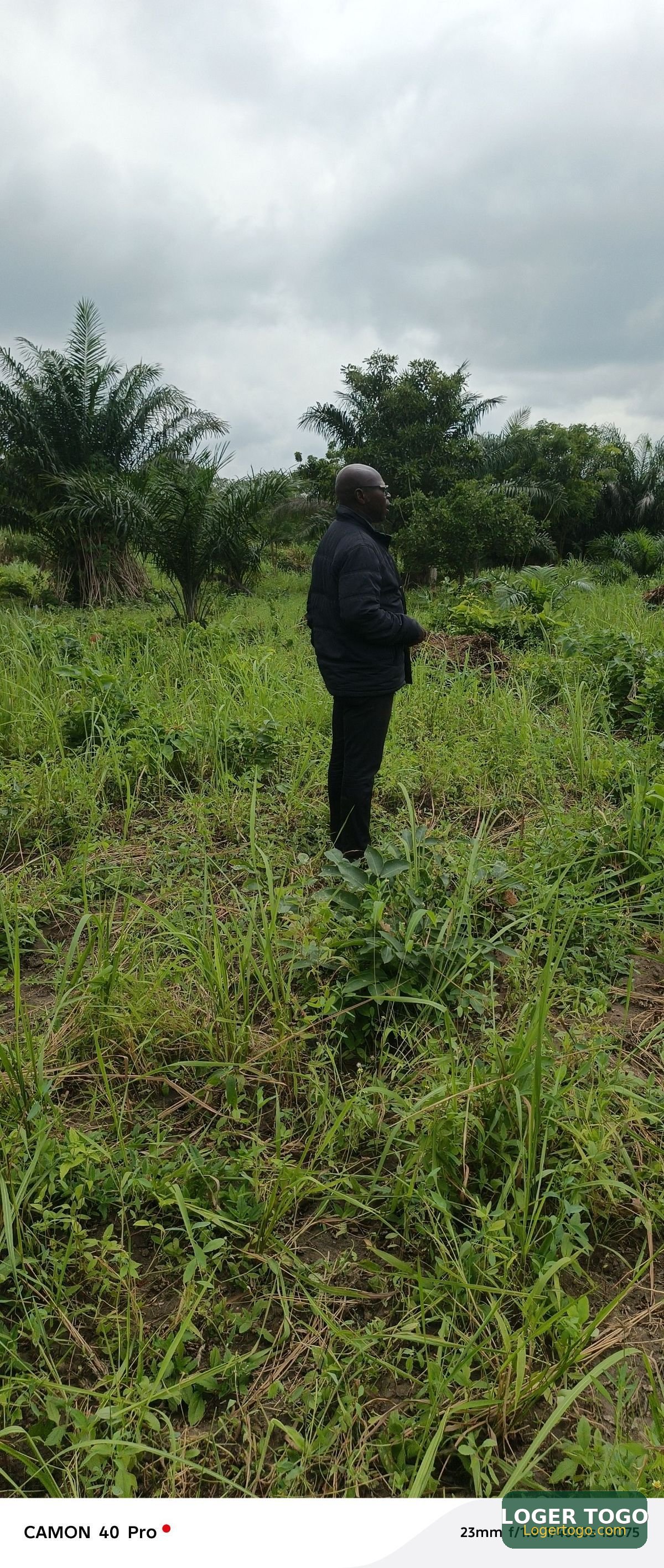 Terrains Agricoles en Vente - Photo 1